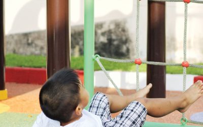 What Is My Playground’s Fall Protection?